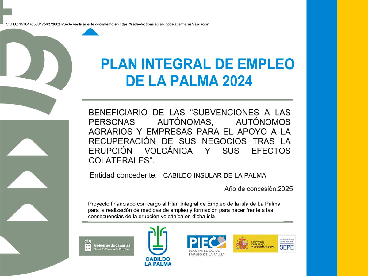 Plan Palma 2024