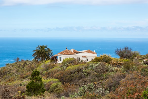 Casa La Palmera