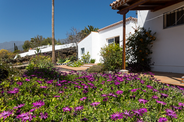 Casa Arándano