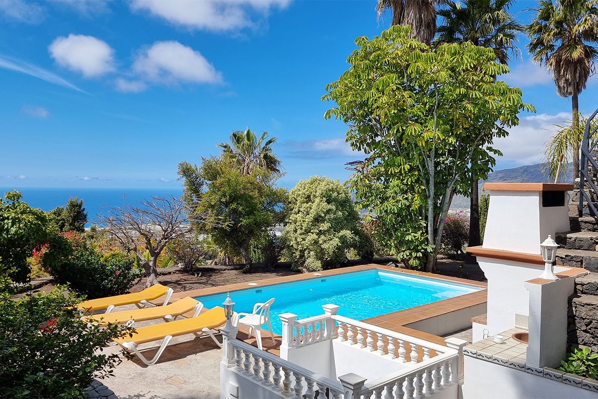 Buena Vista Apartment 1