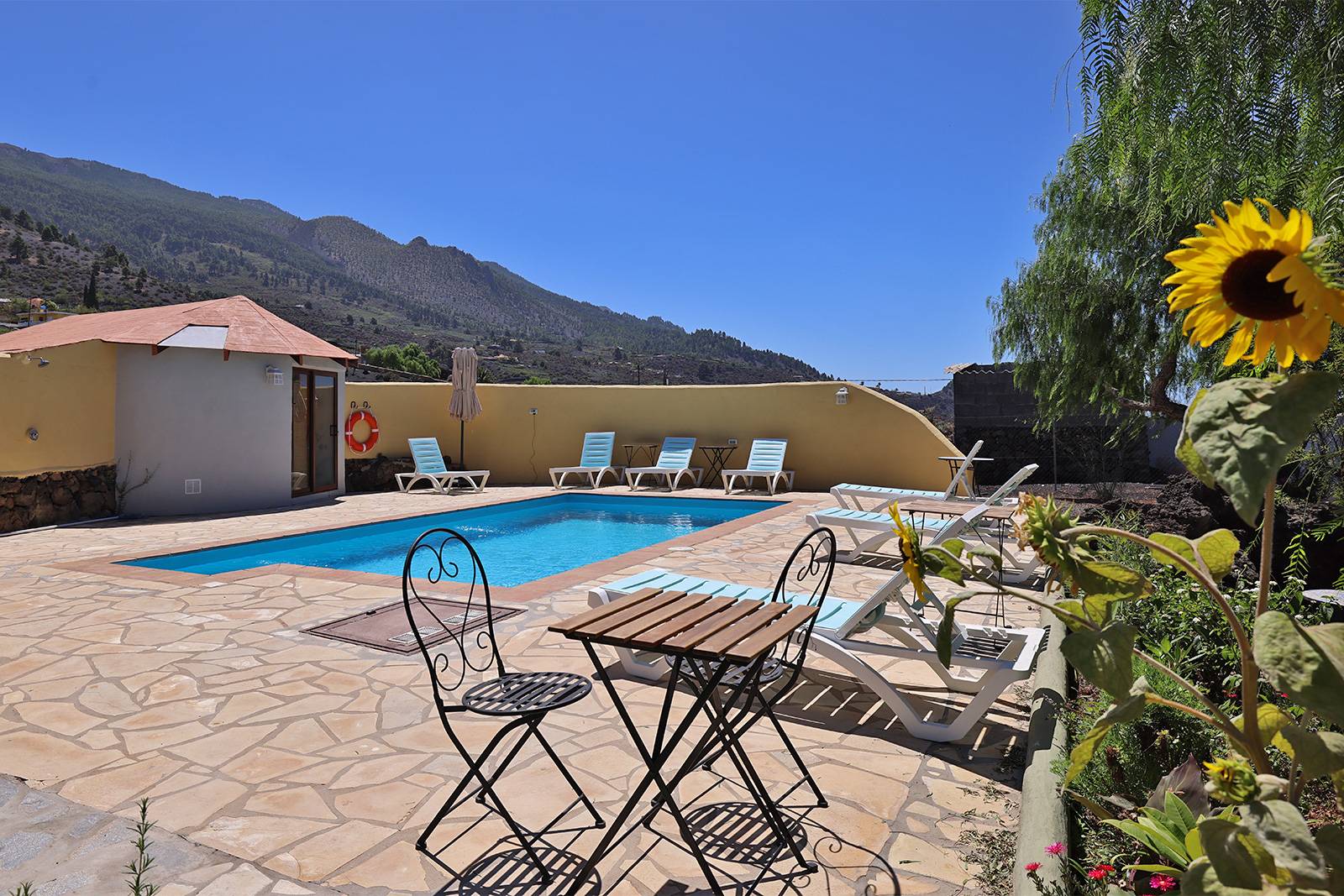 El Jardín de las Pléyades