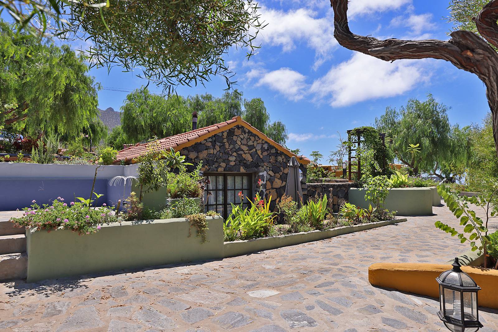 El Pajerito de los Bejeques