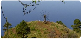 Green ravine landscape in northern La Palma