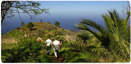 Volcán de San Antonio, Centro de Visitantes, La Palma